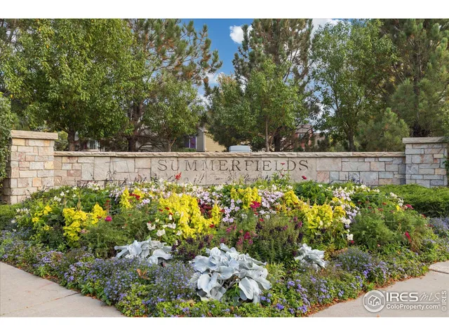 a view of a garden with flowers