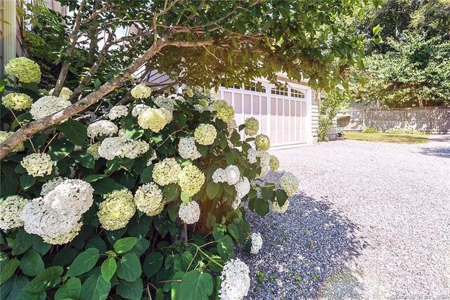 46 Old Black Point Road East Lyme, CT 06357 - Photo 38 of 40 a plant that is in front of the house