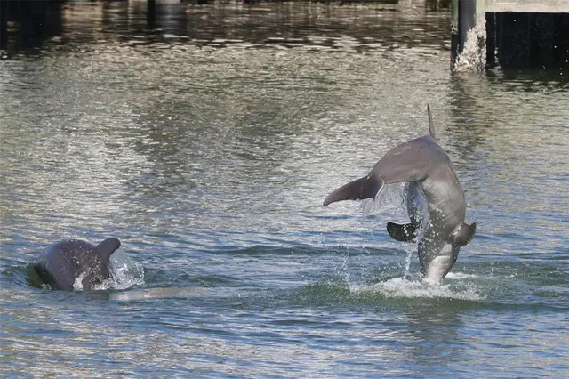 $925,000 | 121 99th Avenue, Treasure Island, FL 33706