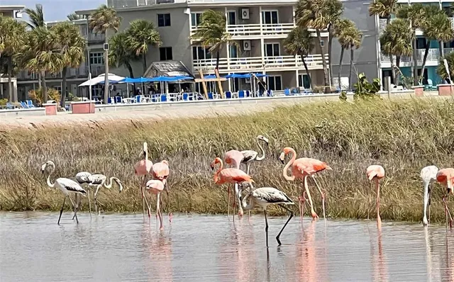 $925,000 | 121 99th Avenue, Treasure Island, FL 33706