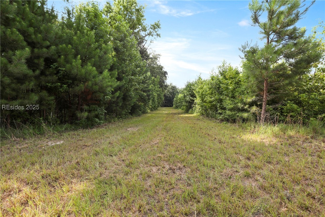 654 Pleasant Hill Road Garnett, SC 29922 - Photo 11 of 12