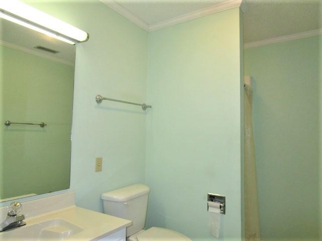 26 R Andre Michaux Road Santee, SC 29142 - Photo 11 of 12 Guest Bath with Step in Shower