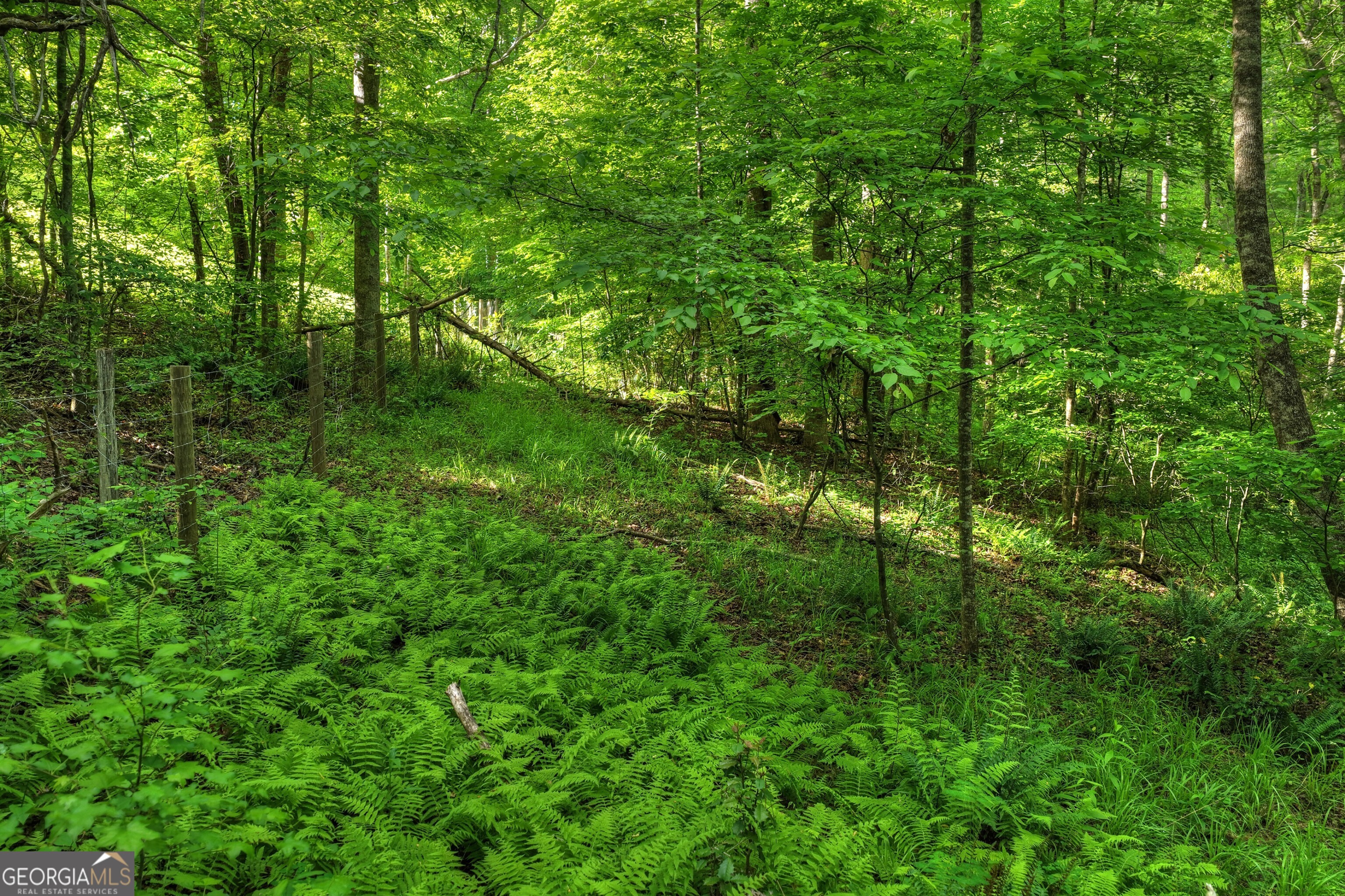 8-ac Mcnelley Road Morganton, GA 30560 - Photo 23 of 47