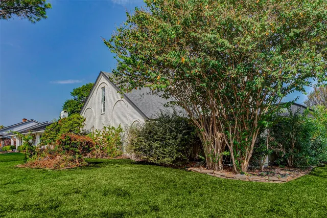 a view of a backyard with potted plants and large trees