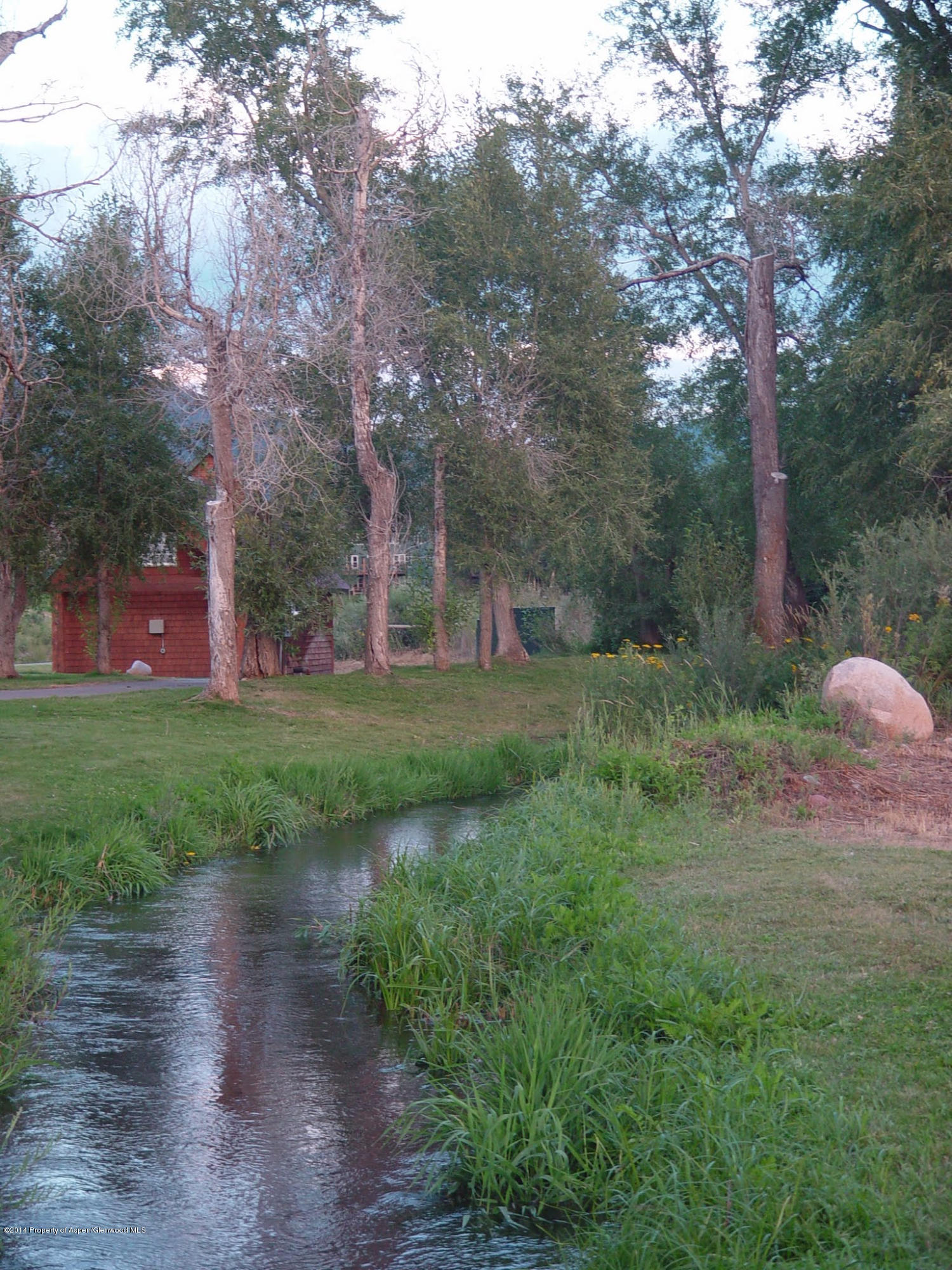 200 Evans Road, Unit 101 Basalt, CO 81621 - Photo 45 of 53 a view of a backyard with large trees