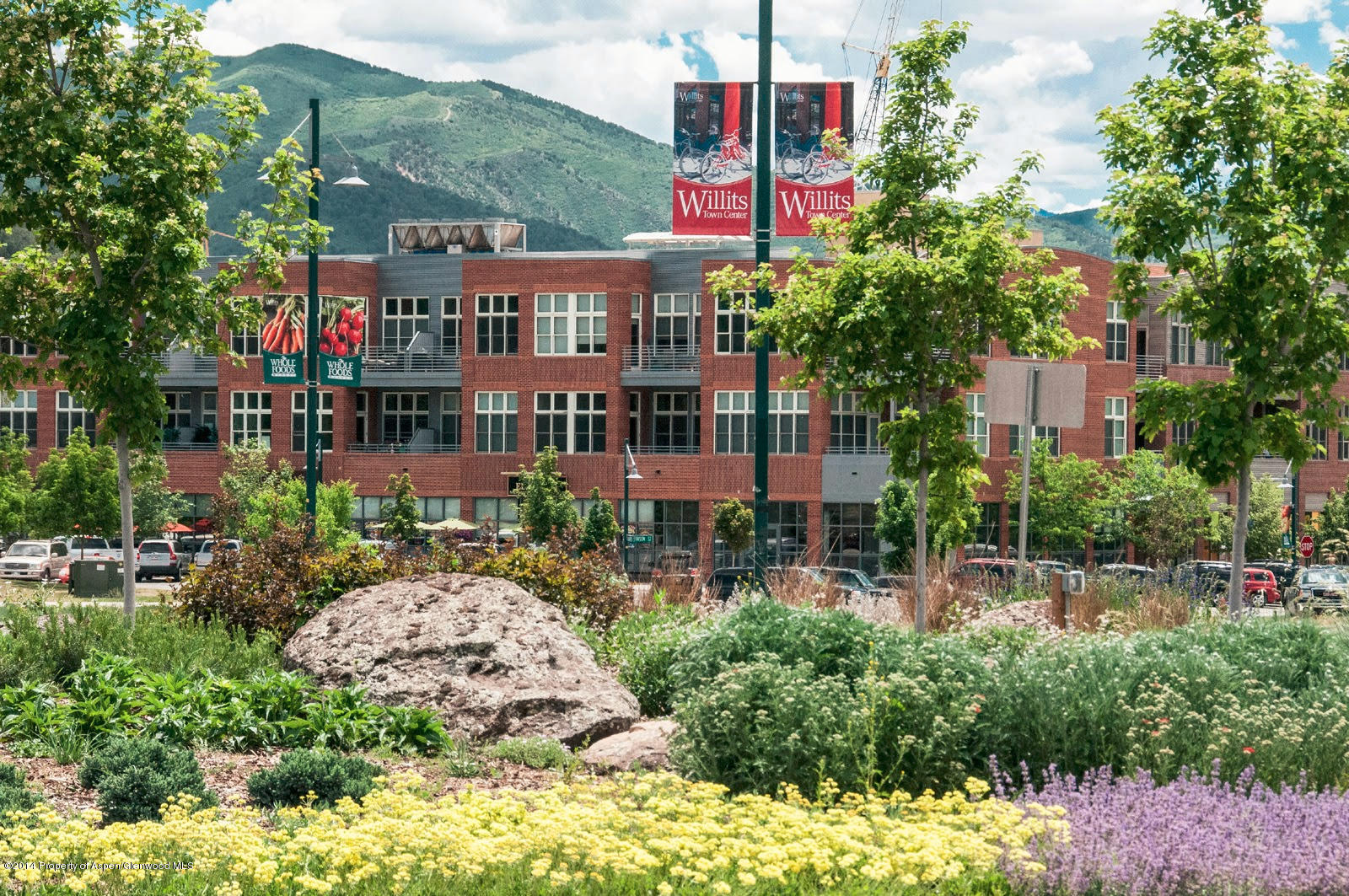 200 Evans Road, Unit 101 Basalt, CO 81621 - Photo 46 of 53 a view of a city and a building in the background