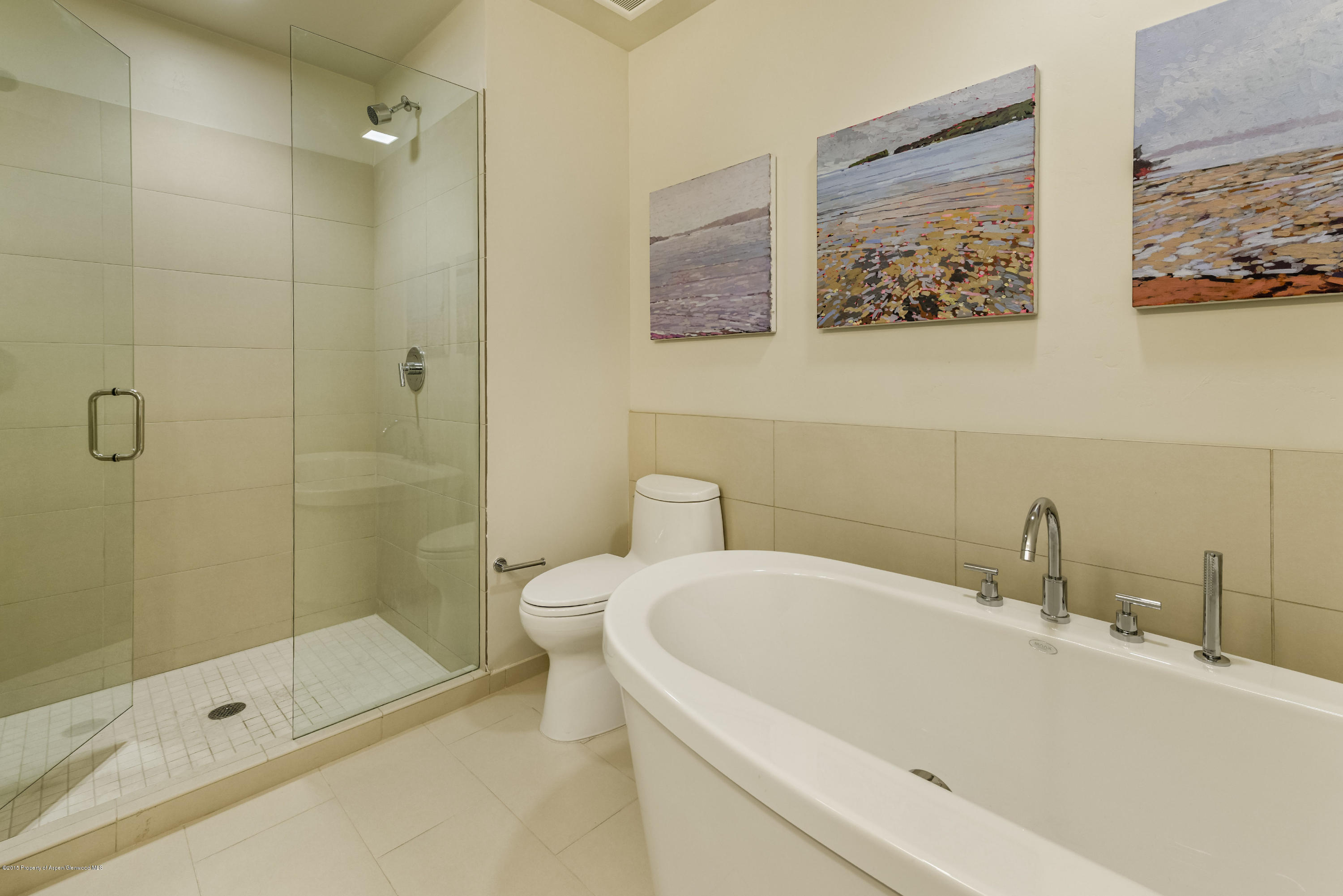 200 Evans Road, Unit 101 Basalt, CO 81621 - Photo 9 of 53 a bathroom with a sink a toilet and shower