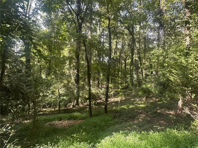 a view of road and yard