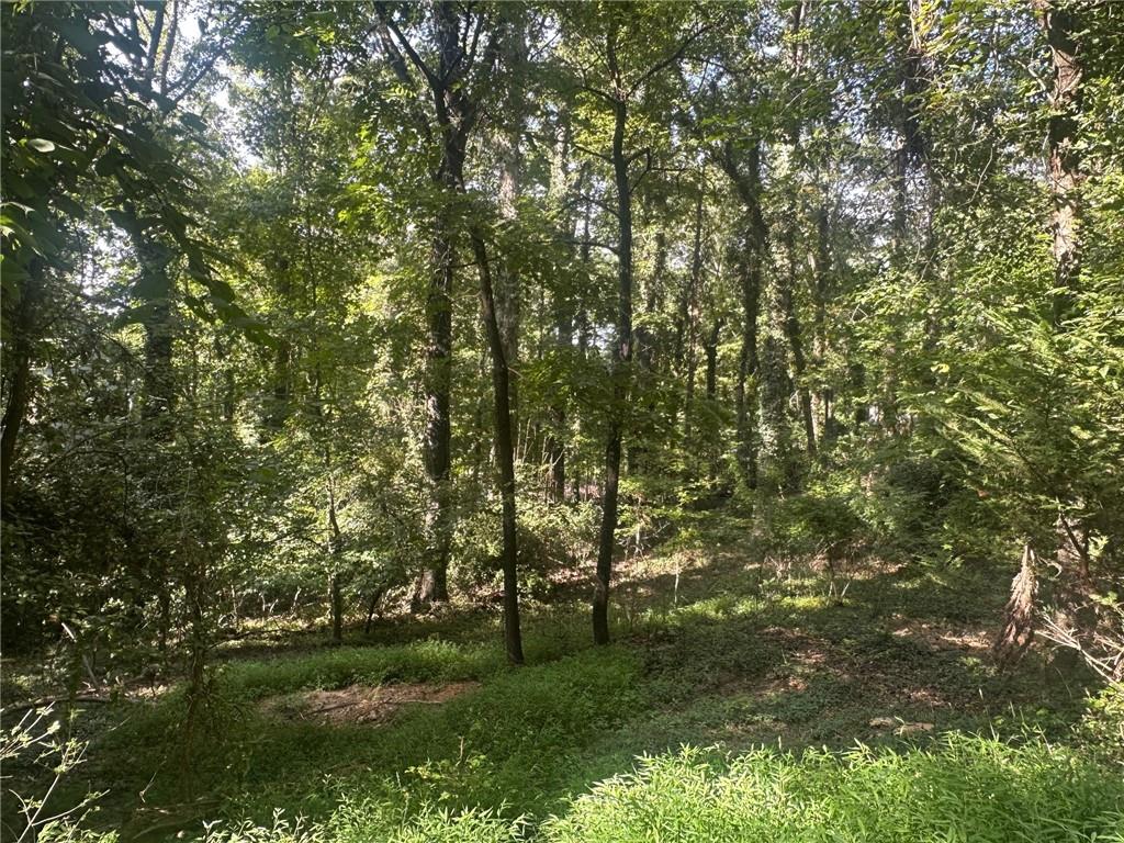 110 Cherry Street Roswell, GA 30075 - Photo 7 of 10 a view of a lush green space