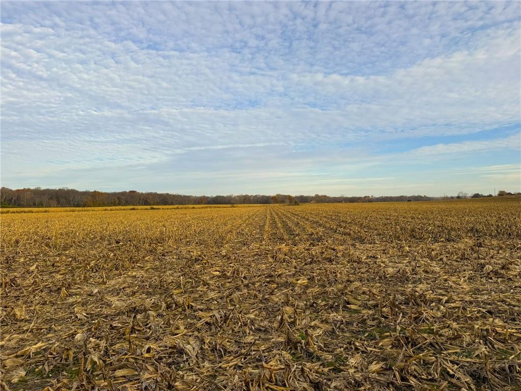 0 East 1135 Road Lawrence, KS 66047 - Photo 14 of 28