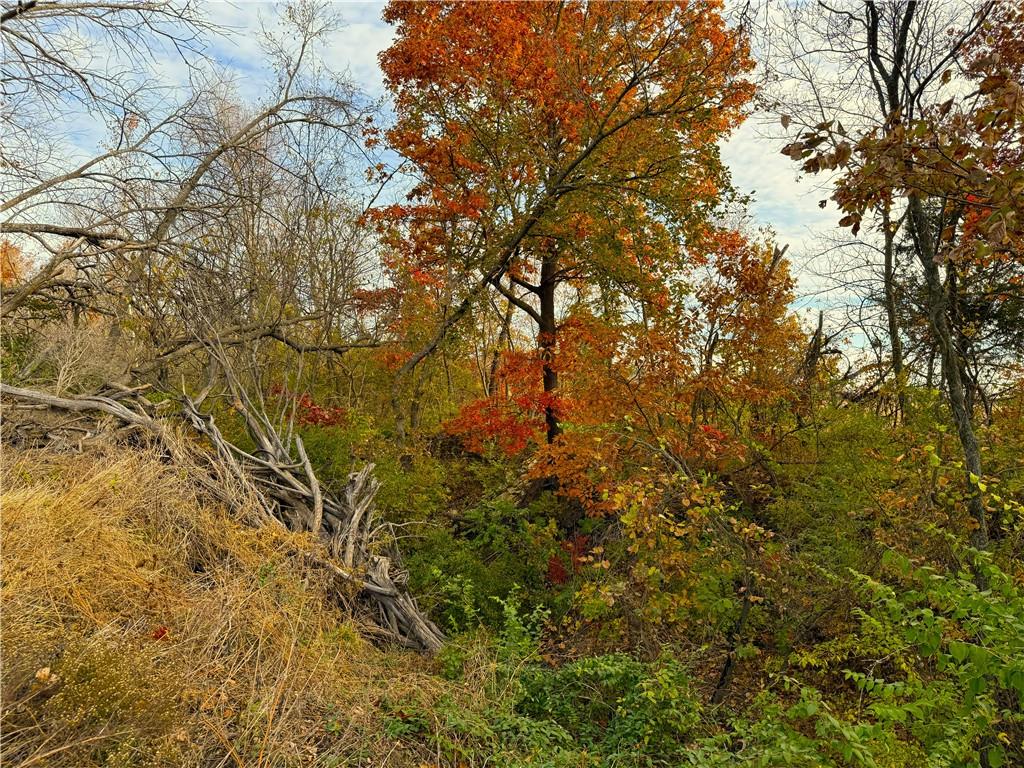 0 East 1135 Road Lawrence, KS 66047 - Photo 24 of 28