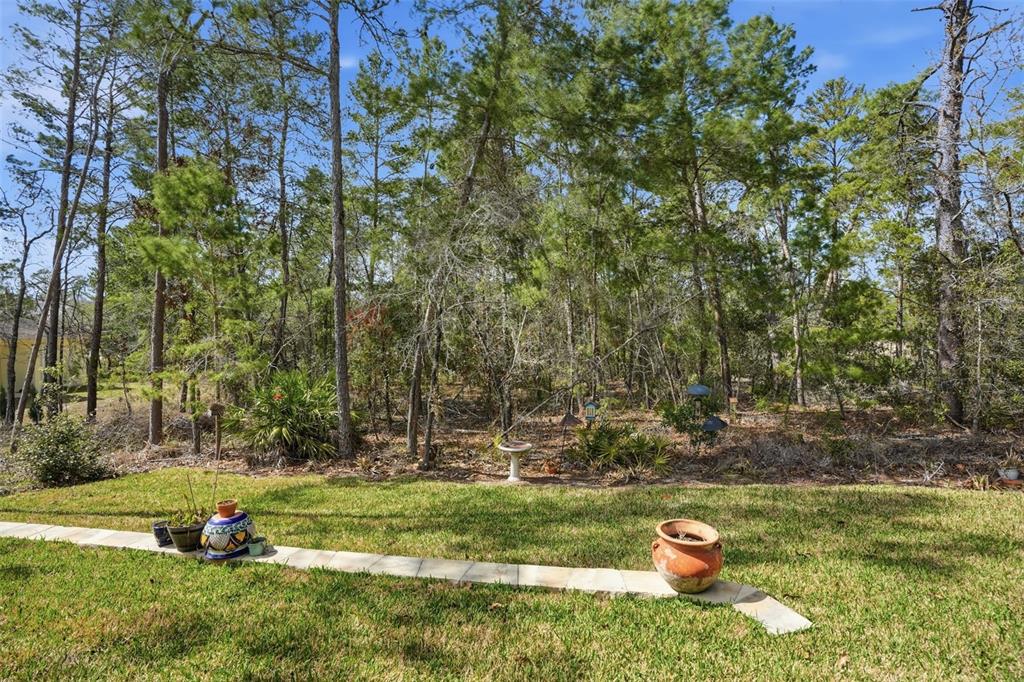 4 Vinca Street Homosassa, FL 34446 - Photo 41 of 53