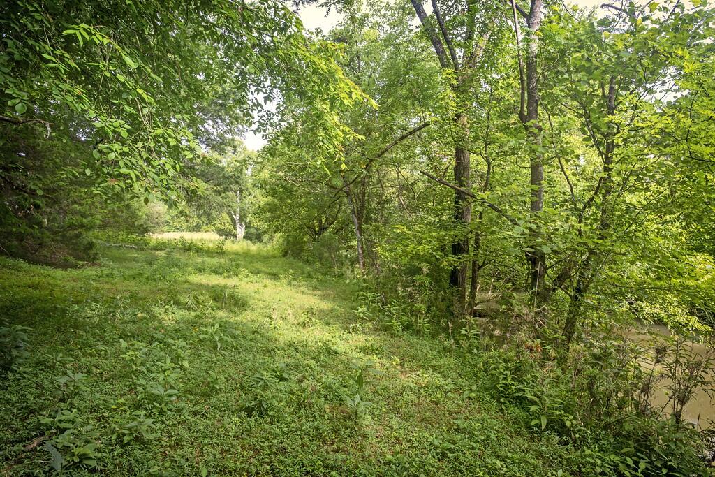 214 County Road 67 Riceville, TN 37370 - Photo 42 of 85 ri35