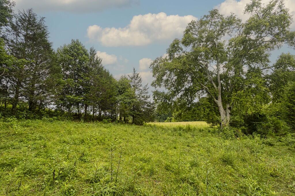 214 County Road 67 Riceville, TN 37370 - Photo 45 of 85 ri38