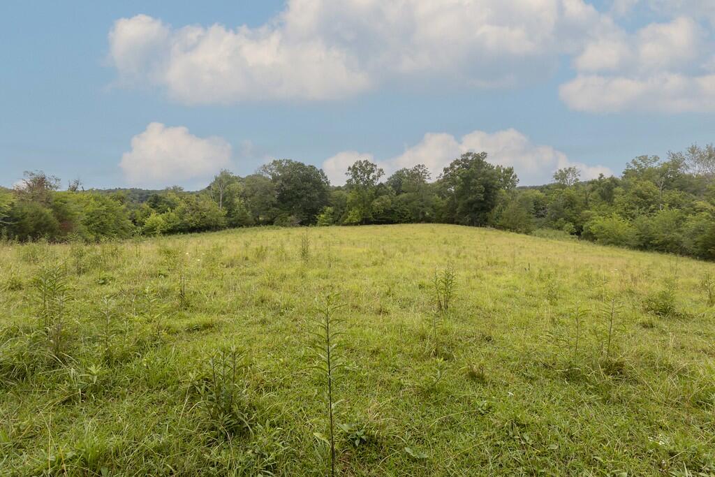 214 County Road 67 Riceville, TN 37370 - Photo 48 of 85 ri41