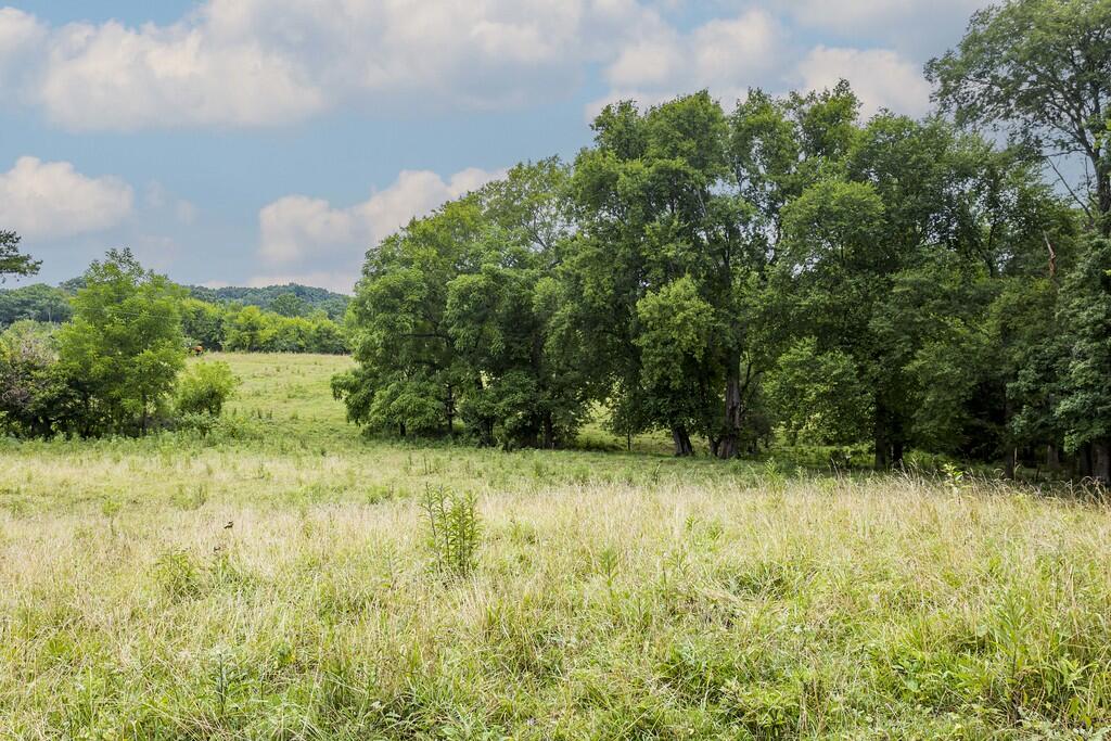 214 County Road 67 Riceville, TN 37370 - Photo 55 of 85 ri48