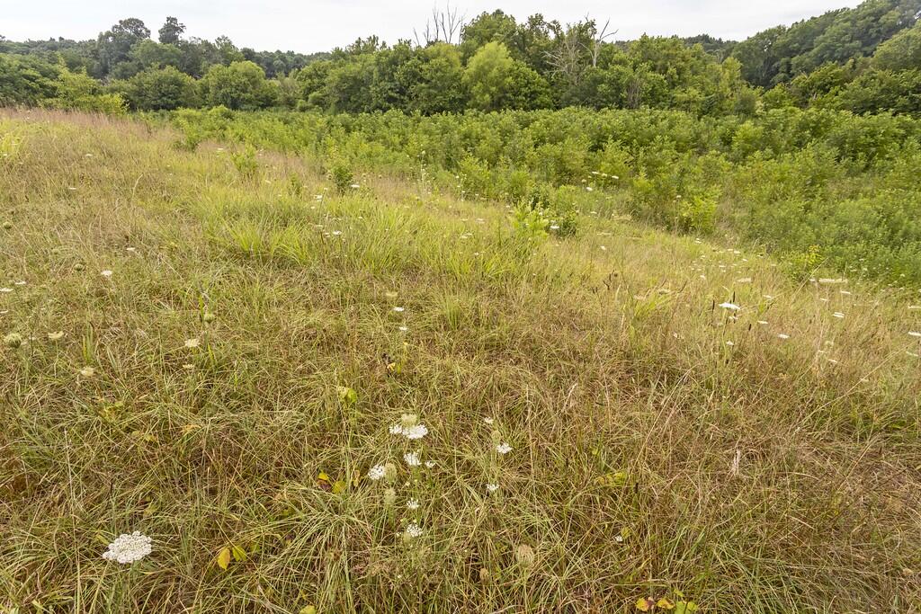 214 County Road 67 Riceville, TN 37370 - Photo 60 of 85 ri53