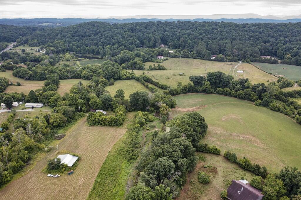 214 County Road 67 Riceville, TN 37370 - Photo 73 of 85 ri68