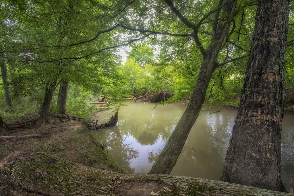 214 County Road 67 Riceville, TN 37370 - Photo 84 of 85 ri60