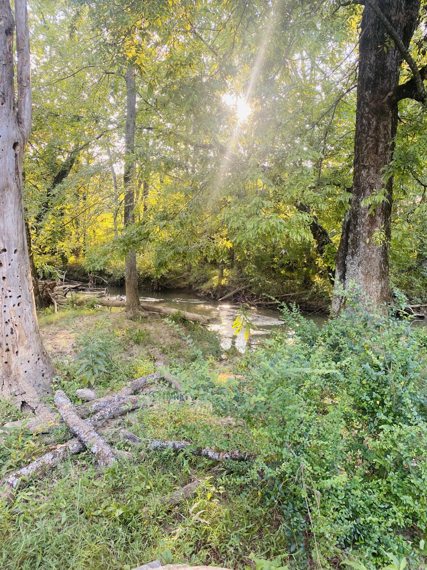 214 County Road 67 Riceville, TN 37370 - Photo 85 of 85 riceville 18