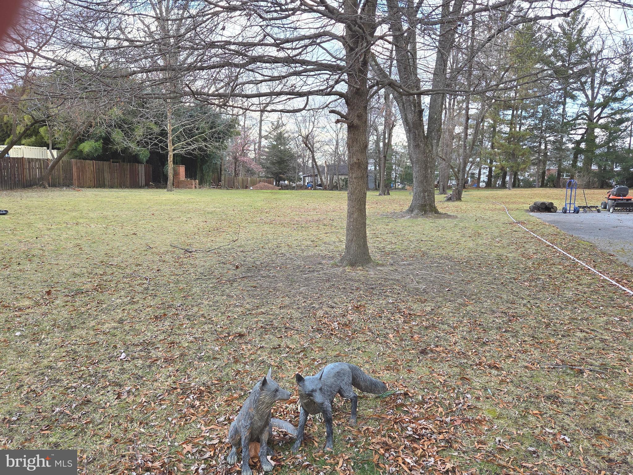 6500 Old Harford Road Baltimore, MD 21214 - Photo 25 of 28 a view of a yard with a tree