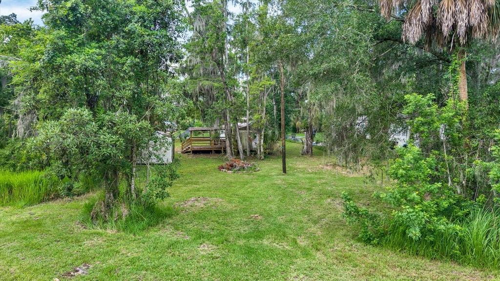 3913 Alafia Boulevard Brandon, FL 33511 - Photo 5 of 22