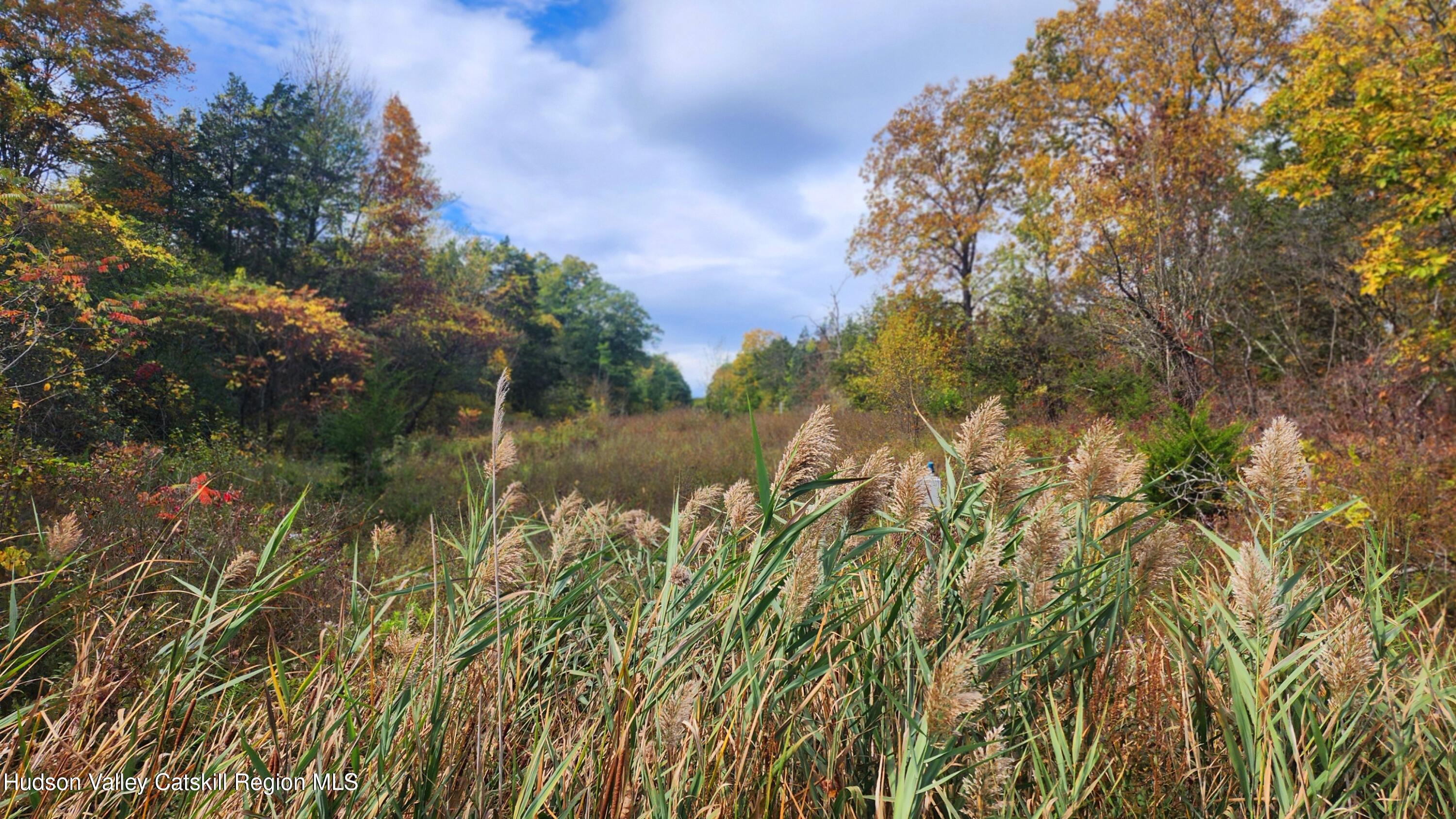 0 Route 9W Athens, NY 12015 - Photo 5 of 5 a view of a lake with a tree