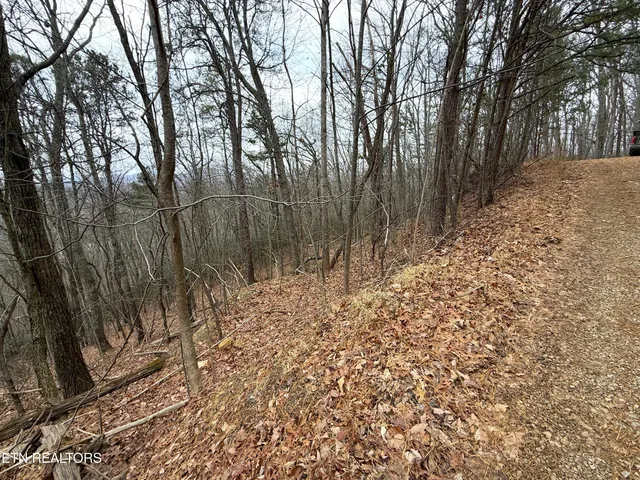 $22,000 | 1.01-ac Green Forest Road, Cosby, TN 37722