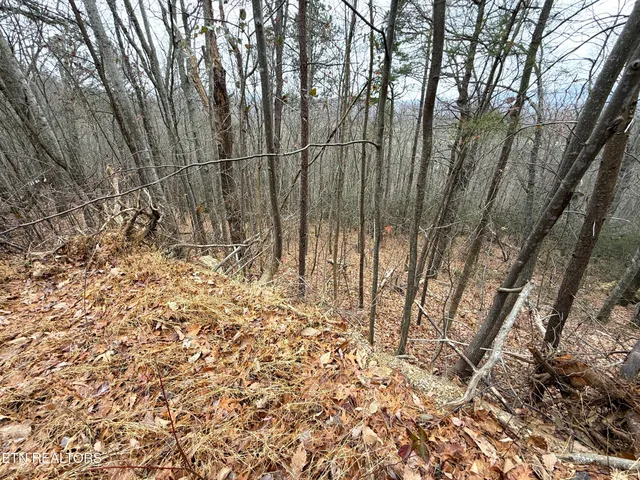 $22,000 | 1.01-ac Green Forest Road, Cosby, TN 37722