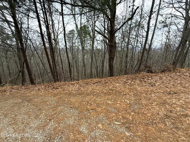 $22,000 | 1.01-ac Green Forest Road, Cosby, TN 37722