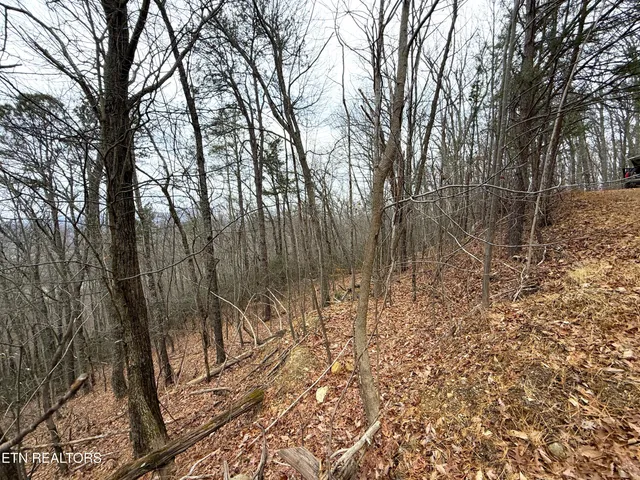 $22,000 | 1.01-ac Green Forest Road, Cosby, TN 37722