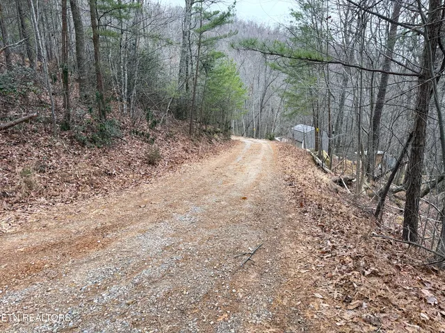 $22,000 | 1.01-ac Green Forest Road, Cosby, TN 37722