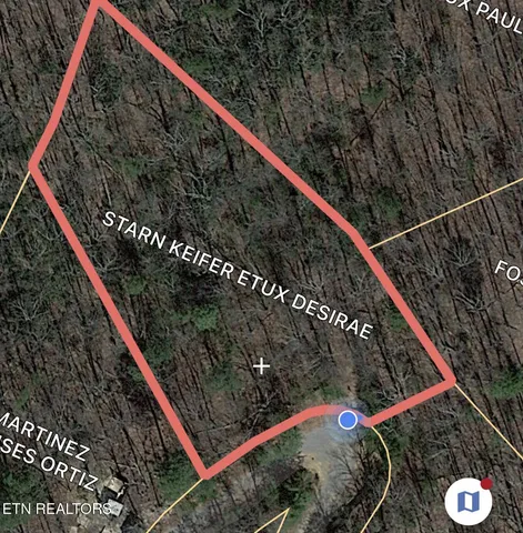 $22,000 | 1.01-ac Green Forest Road, Cosby, TN 37722