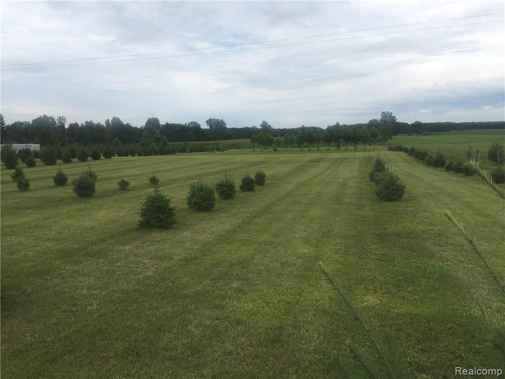 Vl Howland Road Almont, MI 48003 - Photo 4 of 5