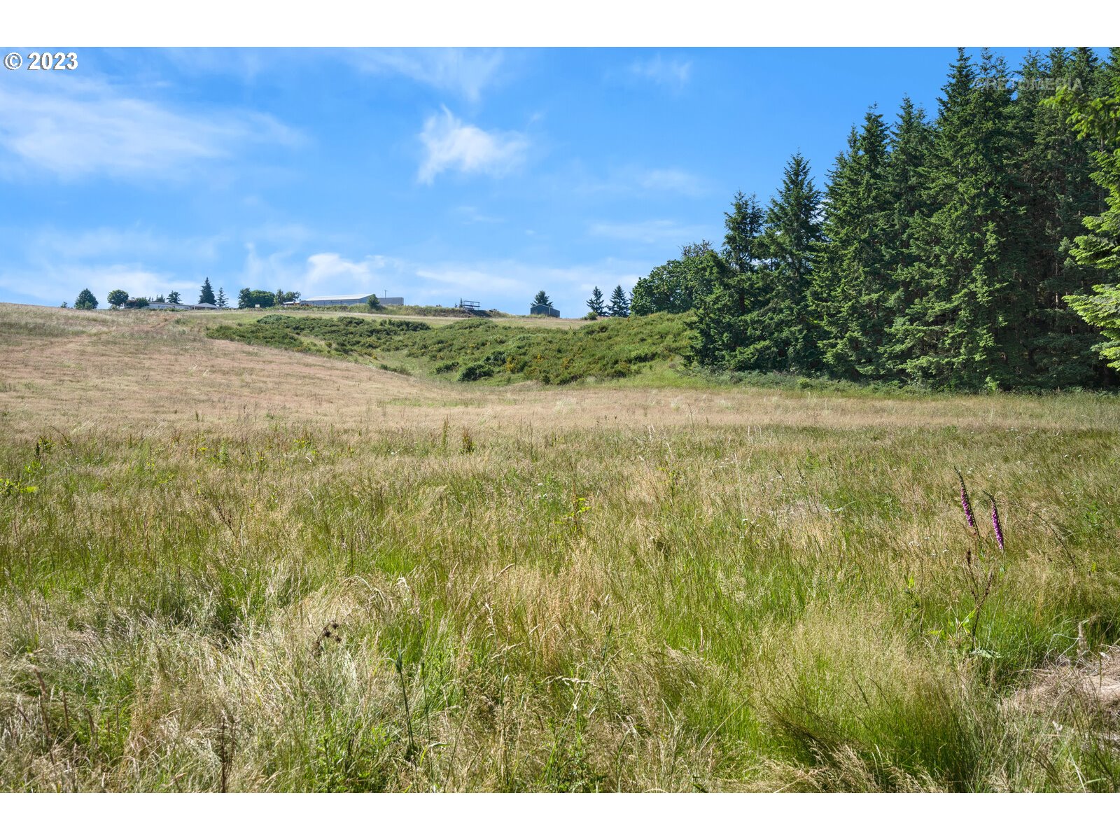 Ramsby Road Molalla, OR 97038 - Photo 8 of 11 Gallery Image 8