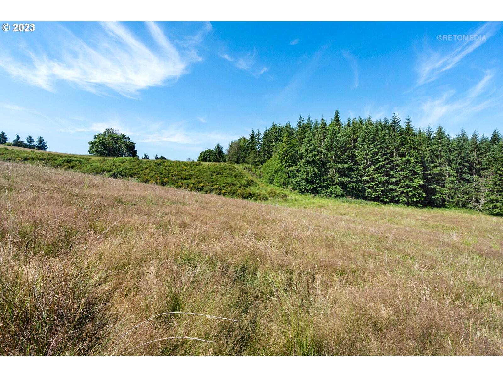 Ramsby Road Molalla, OR 97038 - Photo 10 of 11 Gallery Image 10