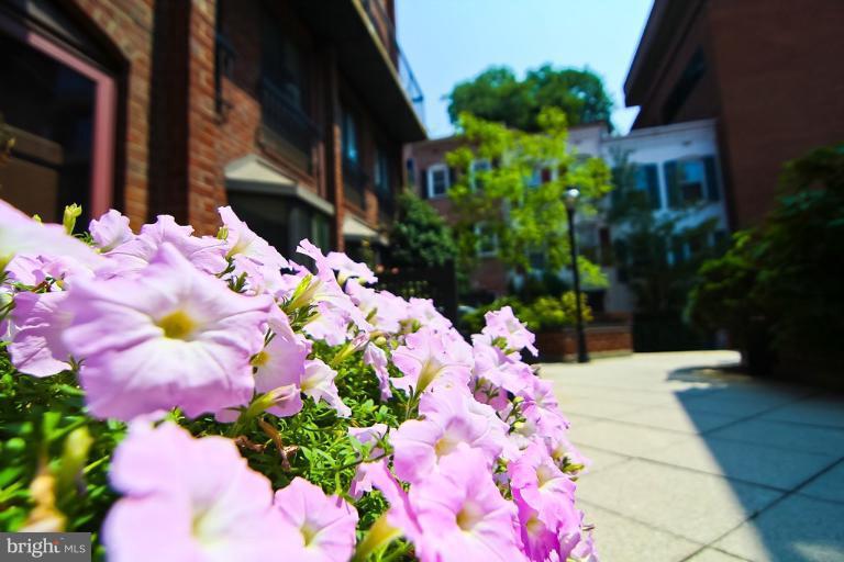 1070 Paper Mill Court, Unit 1070 Washington, DC 20007 - Photo 8 of 11 Exterior (General)