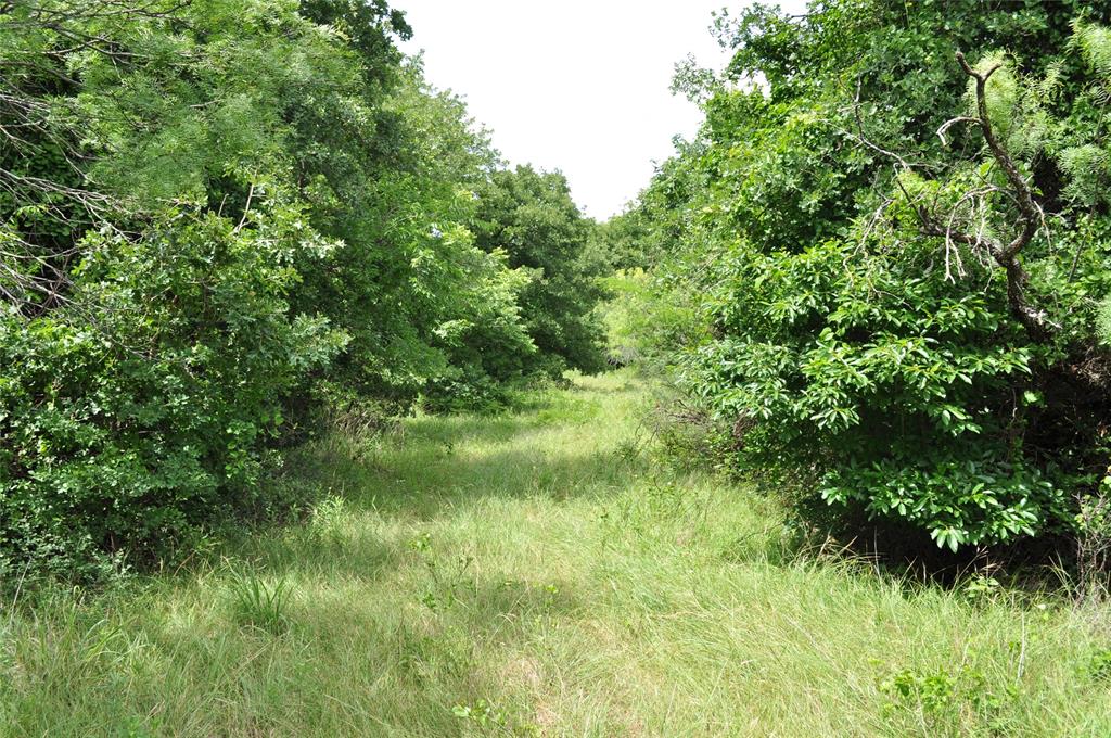 1849 2 Bush Road Perrin, TX 76486 - Photo 20 of 40