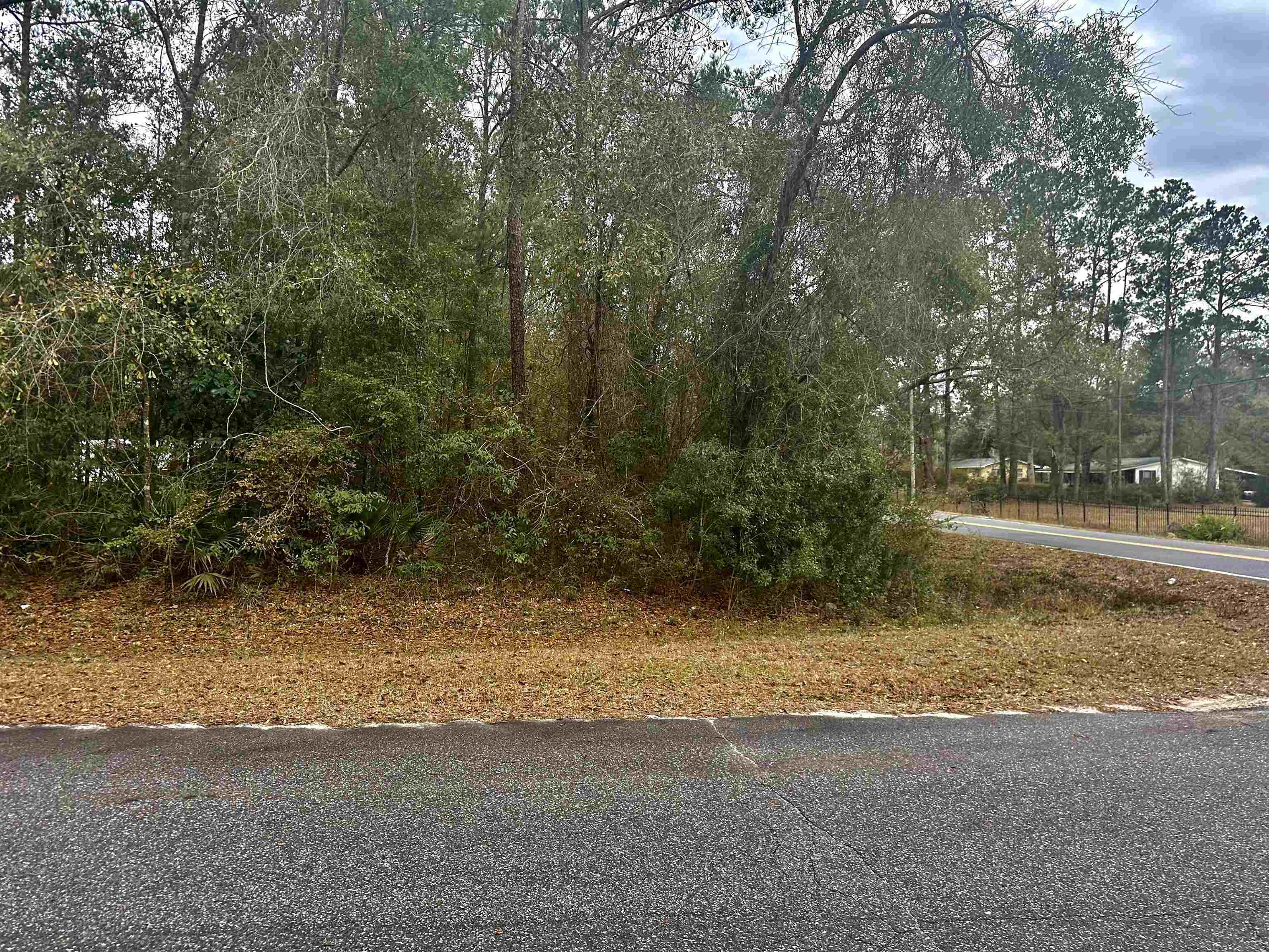 Xx Luther Hall Road Tallahassee, FL 32310 - Photo 3 of 9