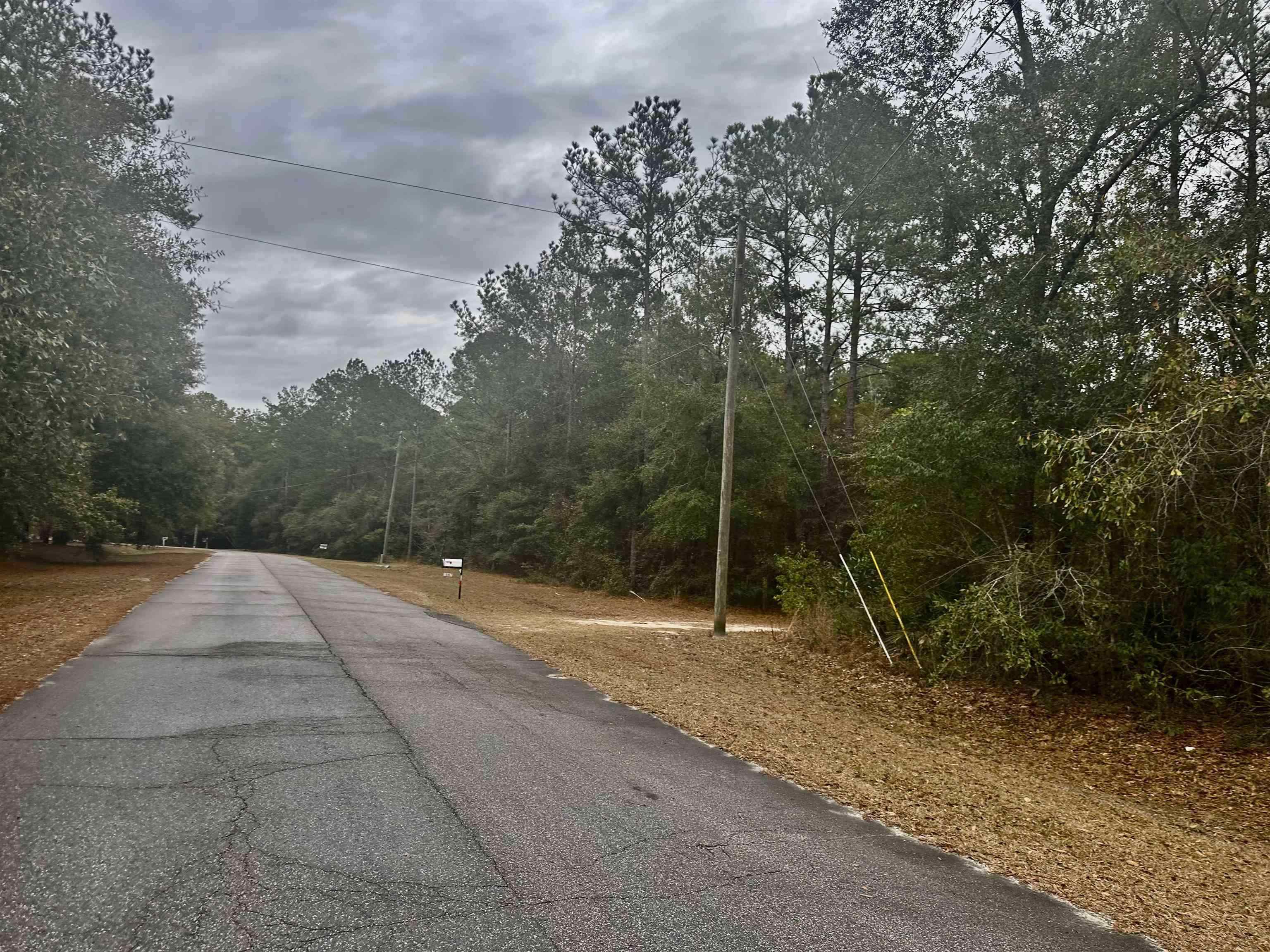 Xx Luther Hall Road Tallahassee, FL 32310 - Photo 4 of 9