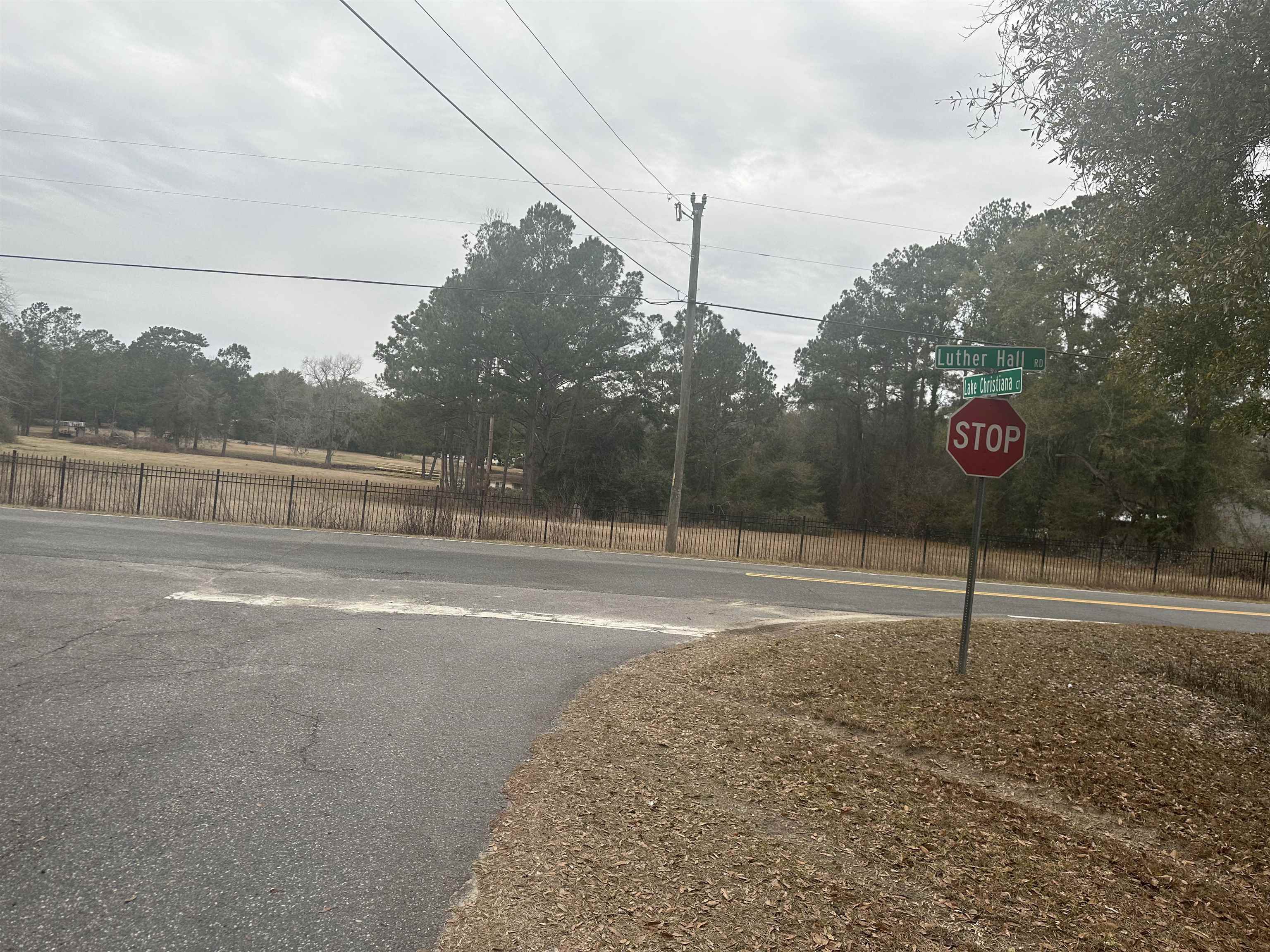 Xx Luther Hall Road Tallahassee, FL 32310 - Photo 5 of 9