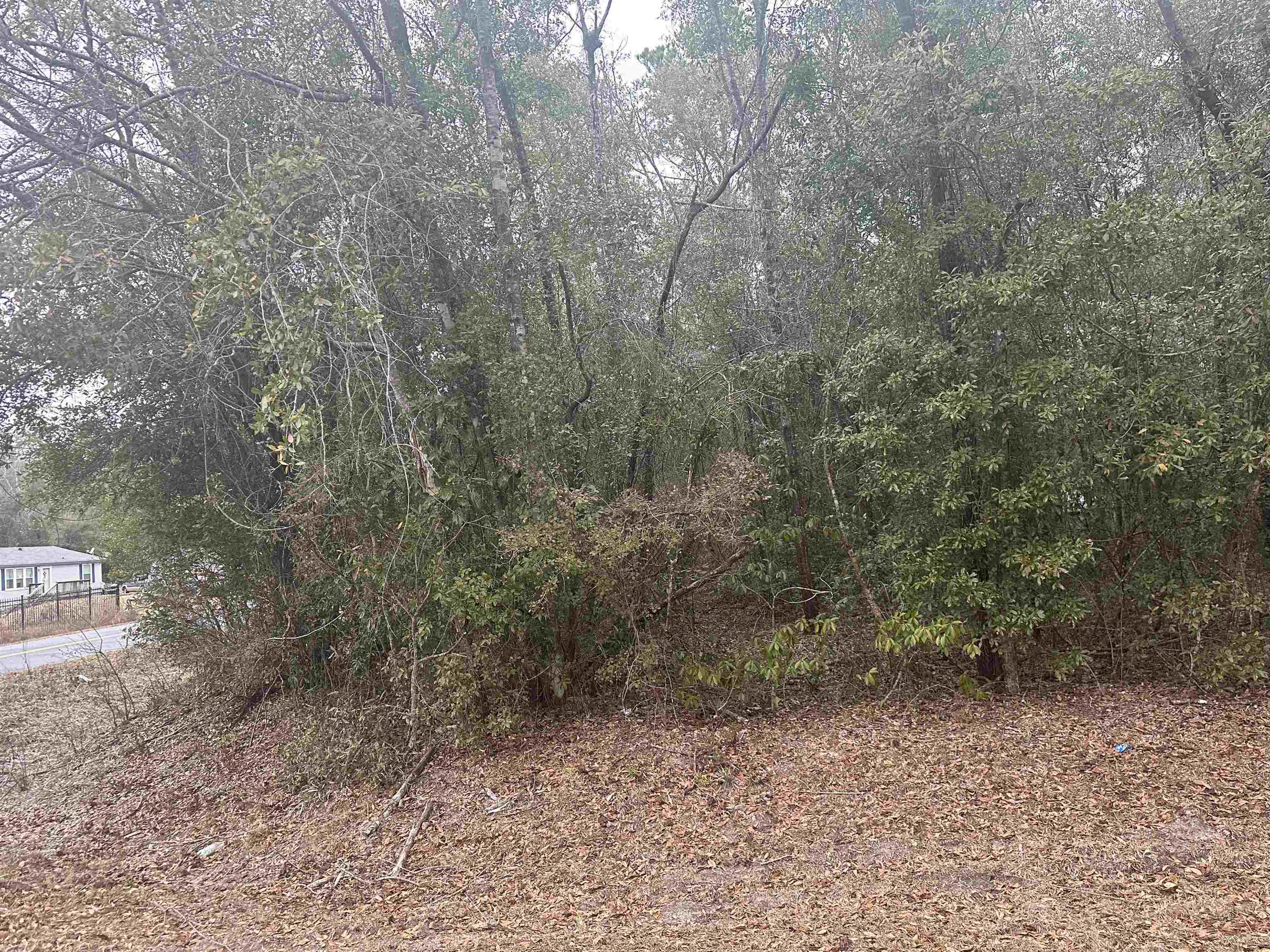 Xx Luther Hall Road Tallahassee, FL 32310 - Photo 6 of 9