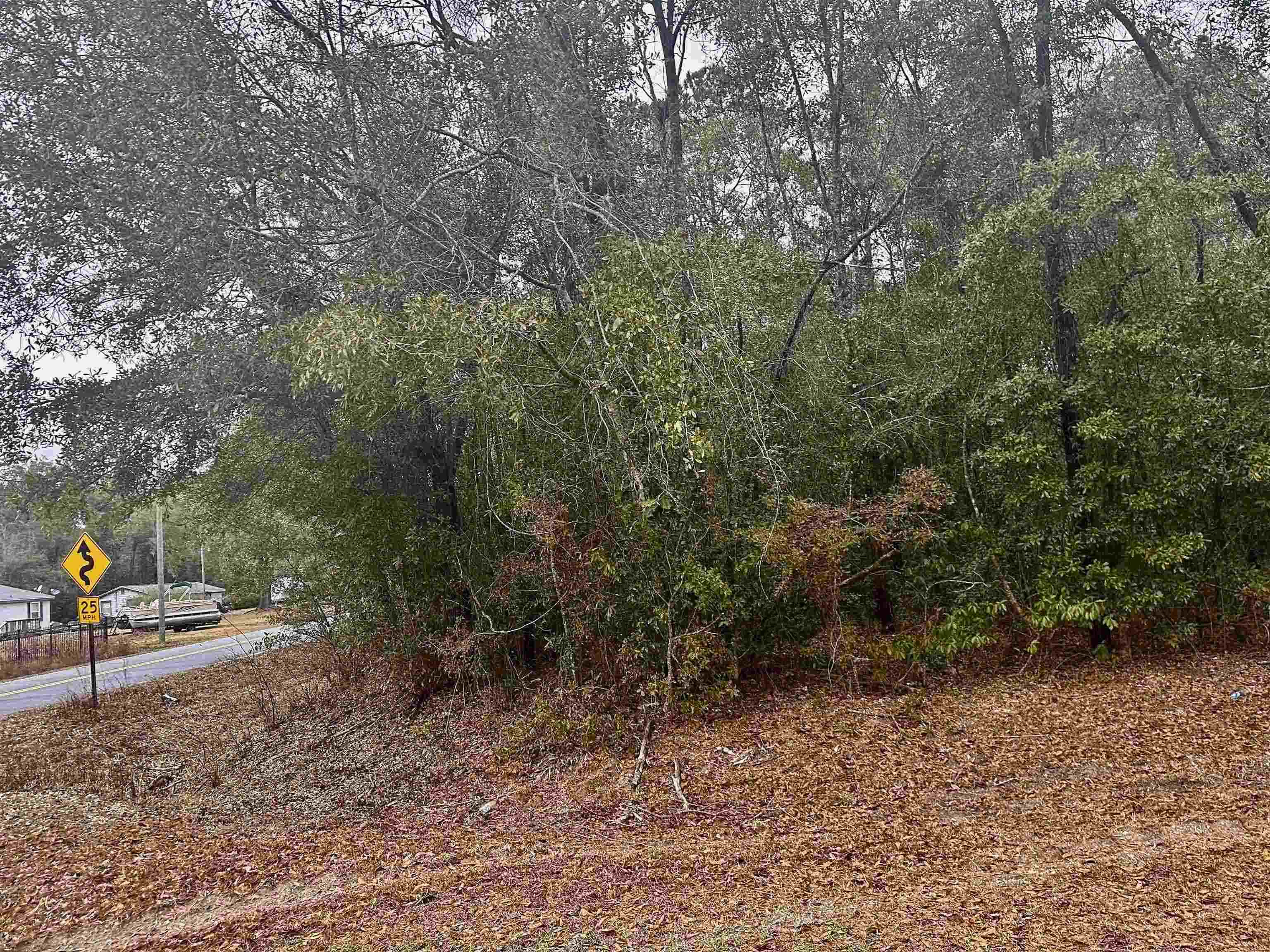 Xx Luther Hall Road Tallahassee, FL 32310 - Photo 7 of 9