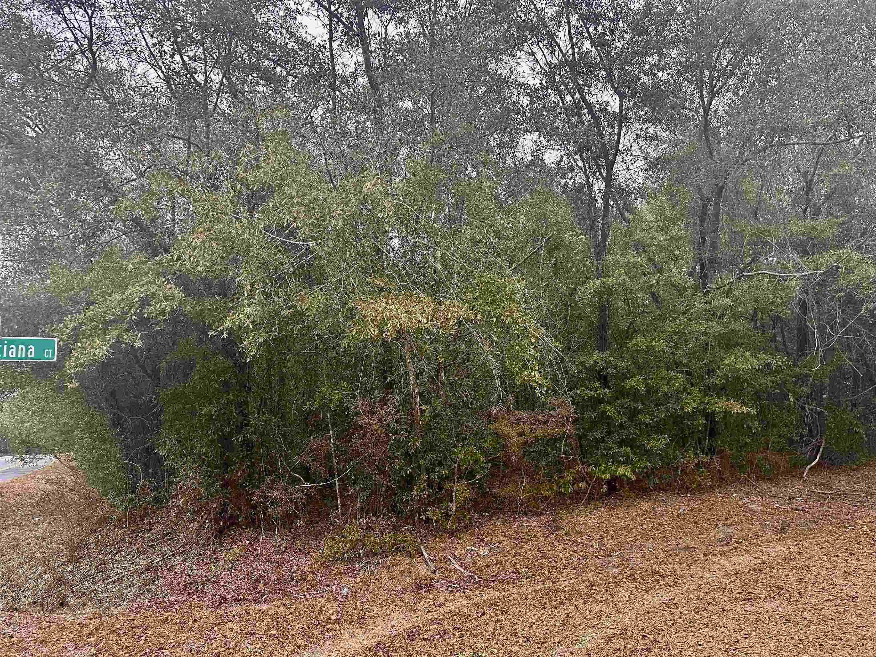 Xx Luther Hall Road Tallahassee, FL 32310 - Photo 8 of 9