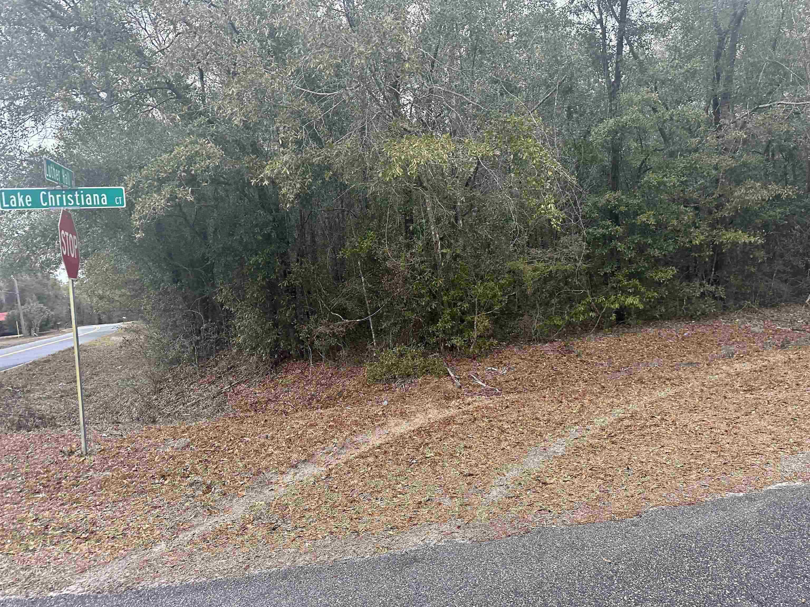 Xx Luther Hall Road Tallahassee, FL 32310 - Photo 9 of 9