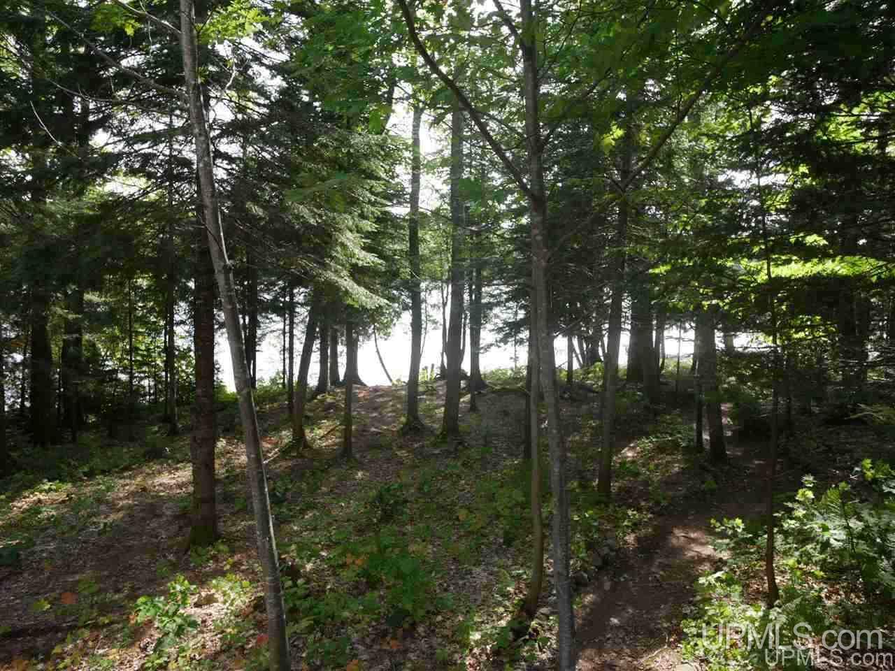 12910 Frimodig Road Mohawk, MI 49950 - Photo 46 of 50