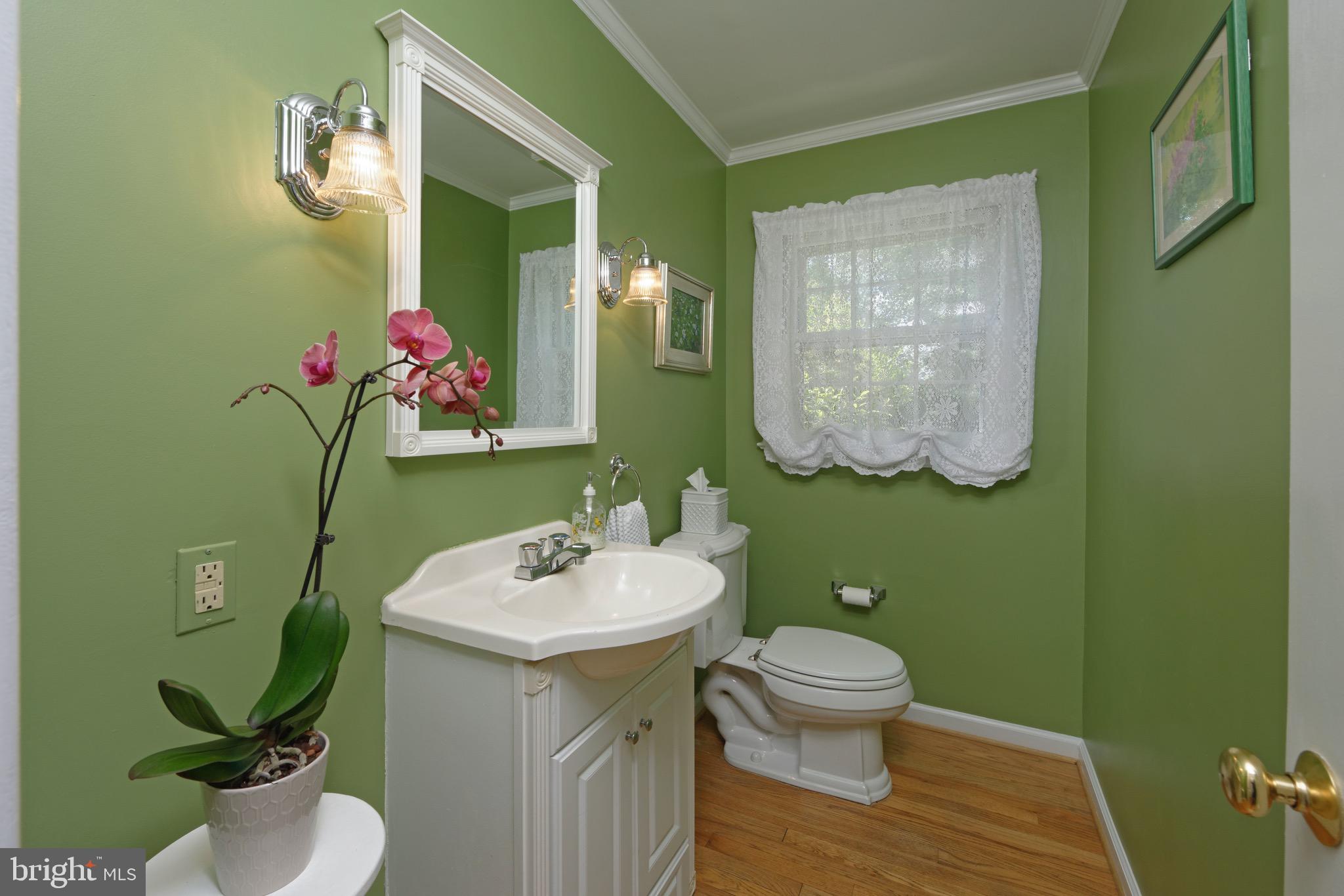 23413 Dover Road Middleburg, VA 20117 - Photo 22 of 73 Powder Room
