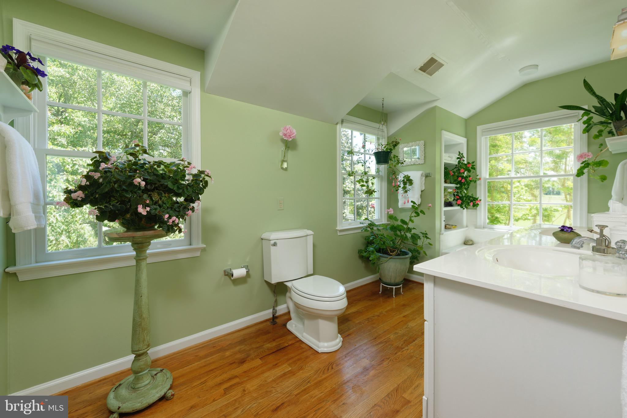 23413 Dover Road Middleburg, VA 20117 - Photo 29 of 73 Master Bathroom