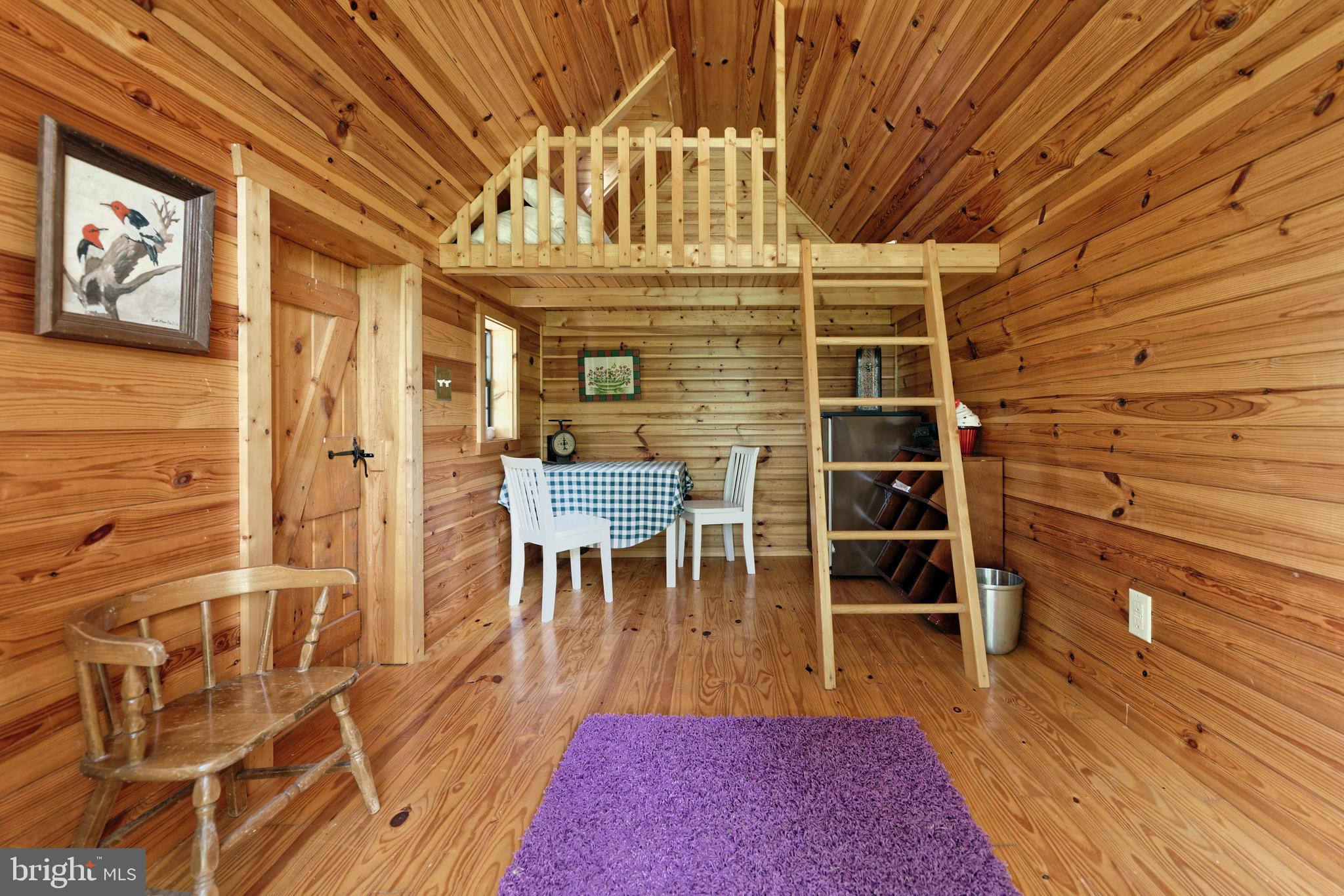 23413 Dover Road Middleburg, VA 20117 - Photo 42 of 73 Interior of play house - shot from adult side door