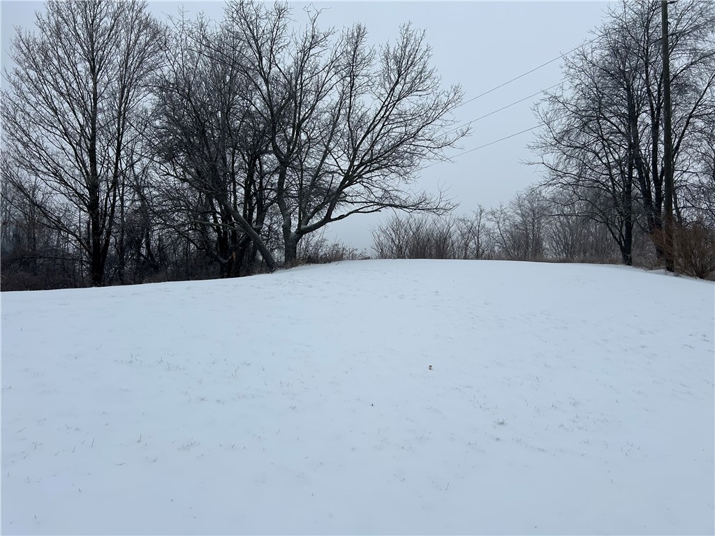 9580 Lodi Center Road Lodi, NY 14860 - Photo 11 of 14 Back Yard
